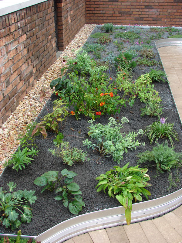 Green Source Cincinnati Patio Greenroof