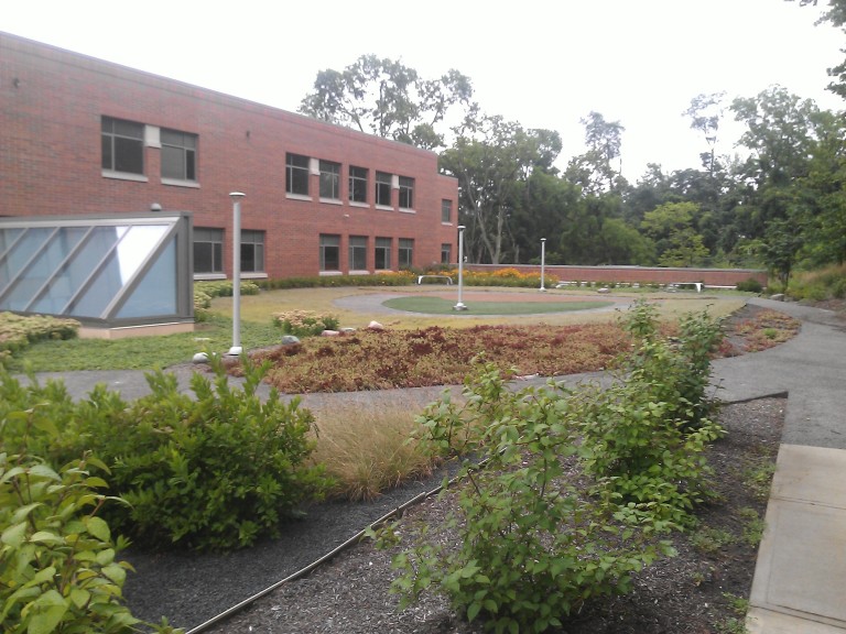 Clark Montessori Intensive Green Roof