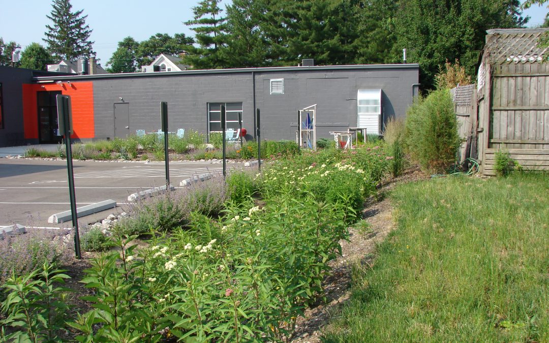 Brazee parking lot Bio Retention and Monarch Way Station