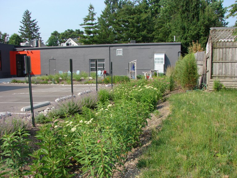 Brazee parking lot Bio Retention and Monarch Way Station