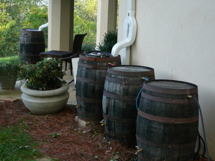 Capturing Rainwater at Home